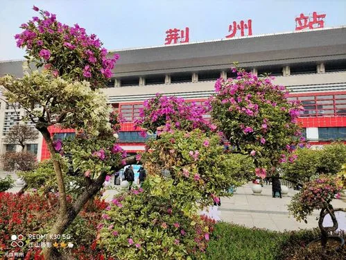 金门县到荆州物流公司-金门县到荆州专线航空速度